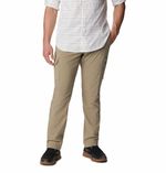 Pantalon-Para-Hombre-Hike-Silver-Ridge™-Utility-Beige-Columbia
