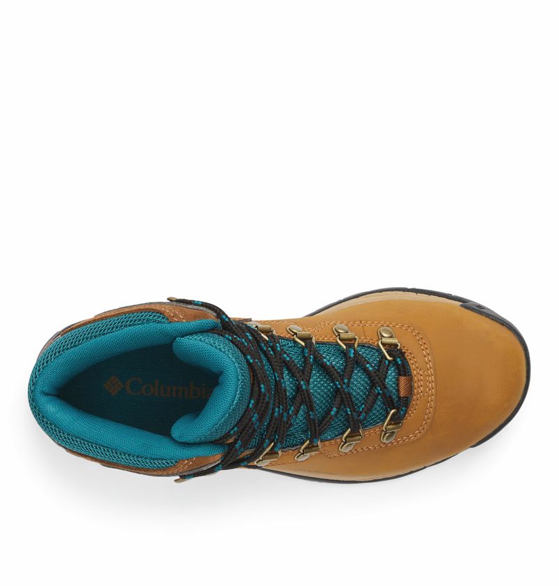 Botas-Para-Mujer-Impermeable-Newton-Ridge-Plus-Ii-Marron-Columbia