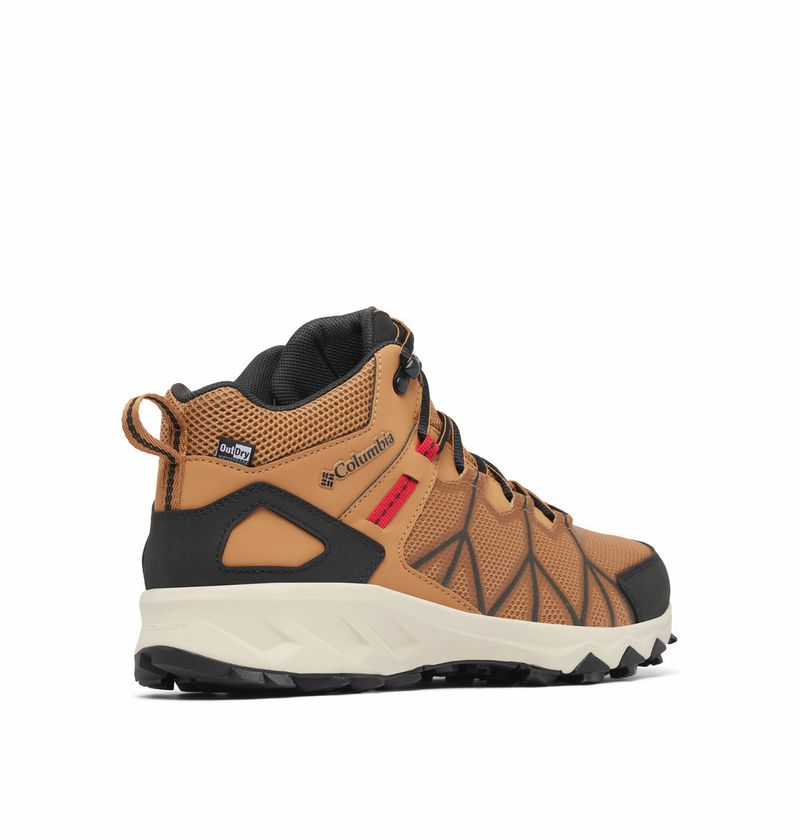 Botines-Para-Hombre-Outdry™Peakfreak™-II-Marrones-Columbia